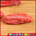 Deliciosa goji baya dulce Ningxia goji goji orgánico con precio bajo